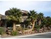 1608 Liege Dr
 Henderson NV 89012
